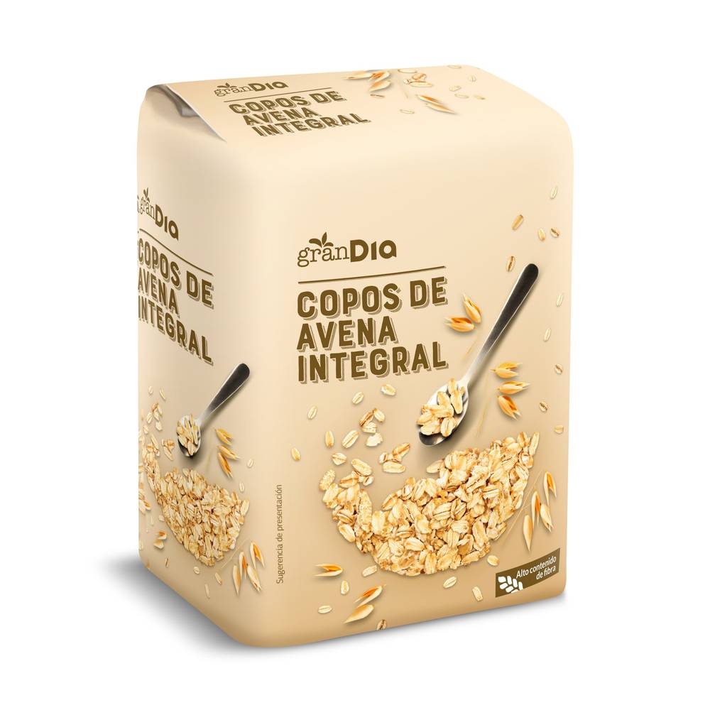 Copos De Avena Gran Dia Caja 500 G