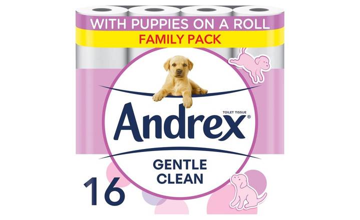 Andrex Gentle Clean Toilet Tissue Paper 16 rolls (403916)