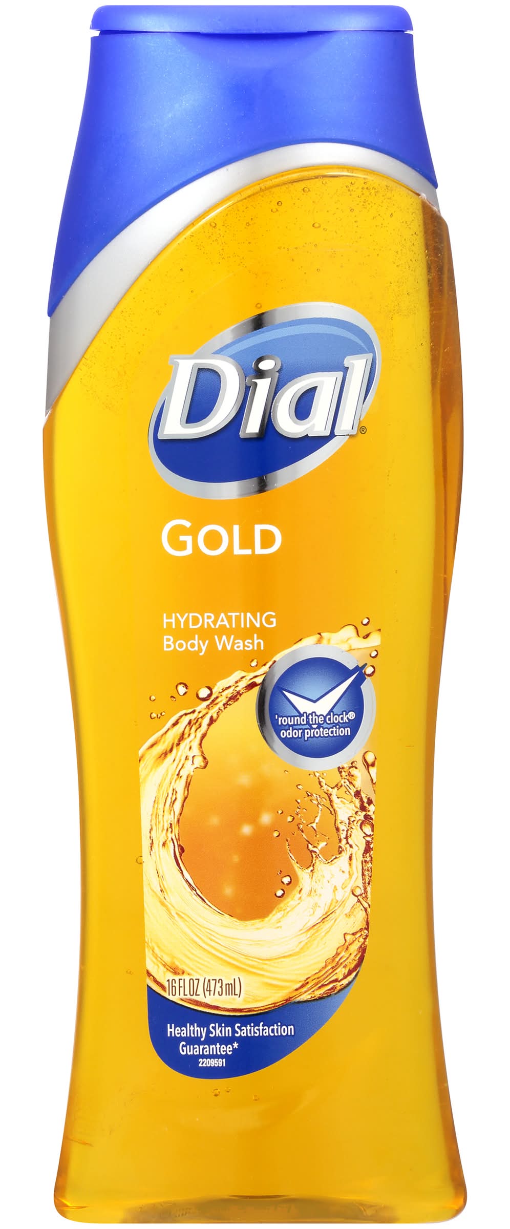 Dial Deodorizing Body Wash Gel Douche Moisturizer (16 fl oz)