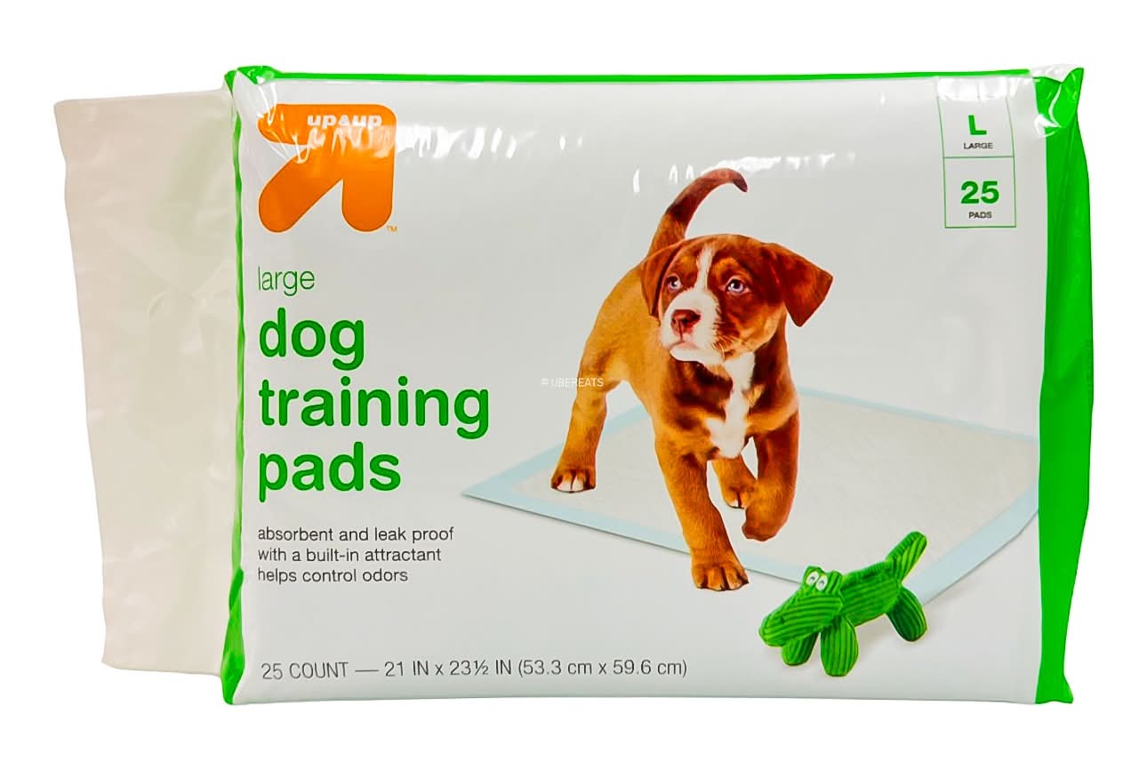 up&up Dog Training Pads, L (25 ct)