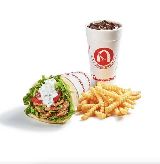 Chicken Gyro and Fries Combo