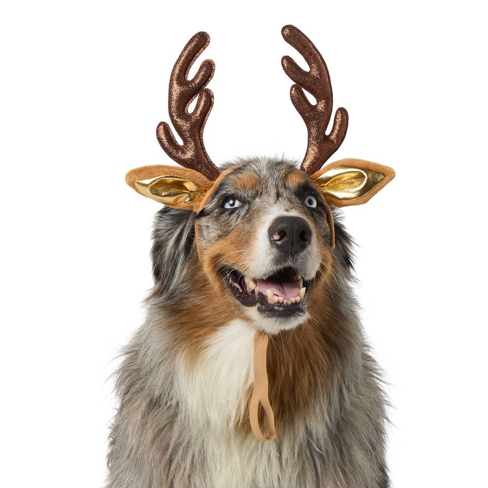 Merry & Bright Dog & Cat Reindeer Holiday Headpiece, X Large, Brown