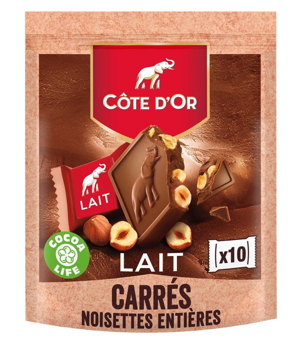 Côte d'Or - Chocolat au lait noisettes entières (10)