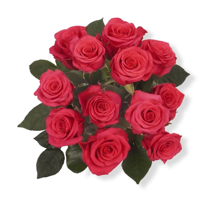 Bloom Haus Noble Hot Pink Rose Bunch (12 ct)