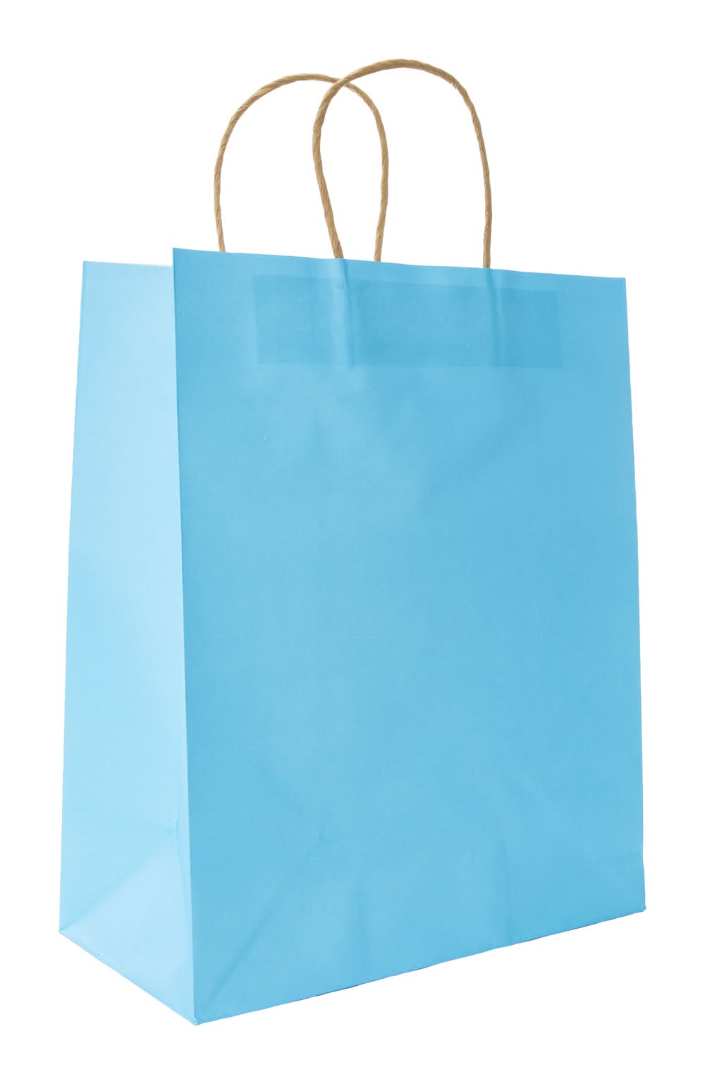 Recyclable Eco-Friendly Large Gift Bags 5-Count Blue