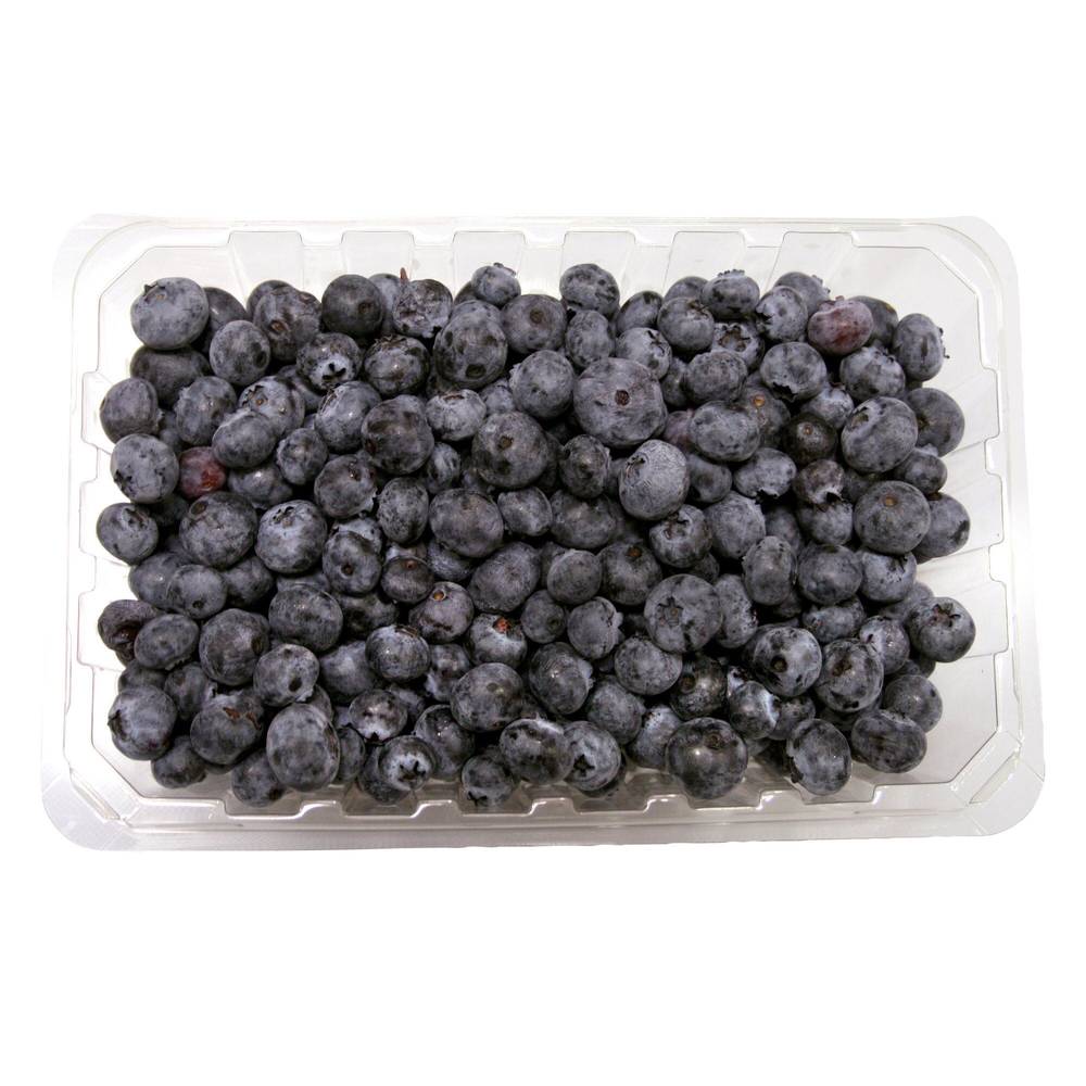 Blueberries, 510 G