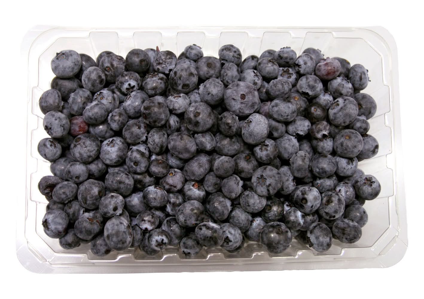Bleuets, 510 G / Blueberries, 510 G