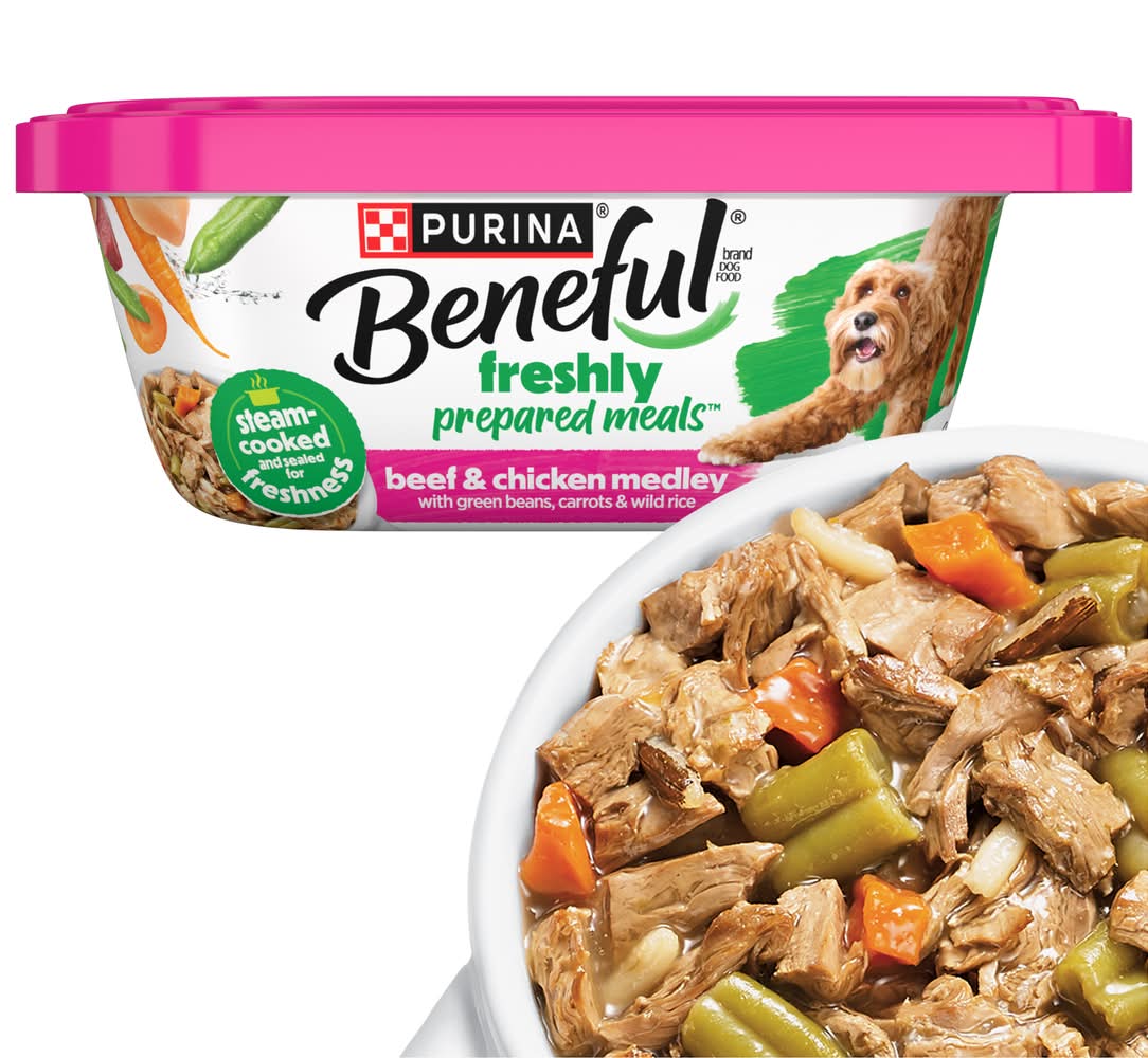 Purina Beneful Prepared Meals With Gravy Wet Dog Food, Beef-Chicken (10 oz)
