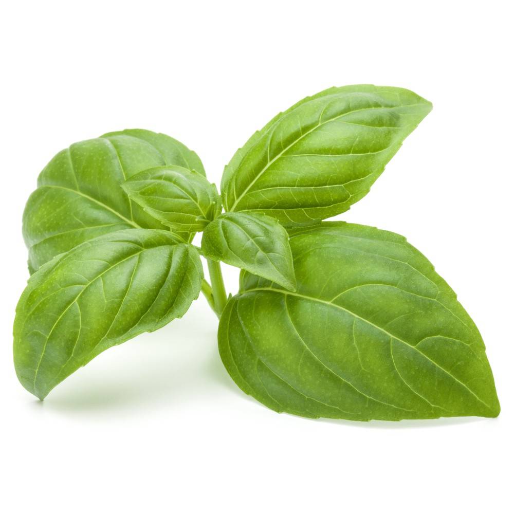 Longo Fresh Organic Basil 6X20G