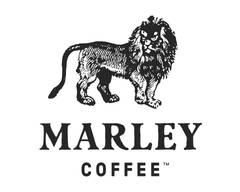Marley Coffee (Santiago Centro)