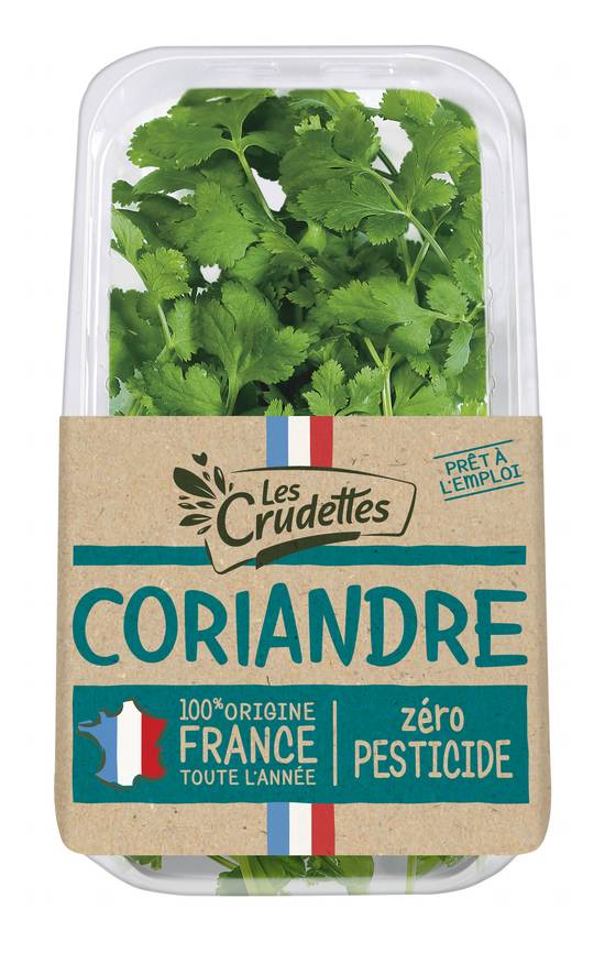Les Crudettes - Coriandre zero pesticide