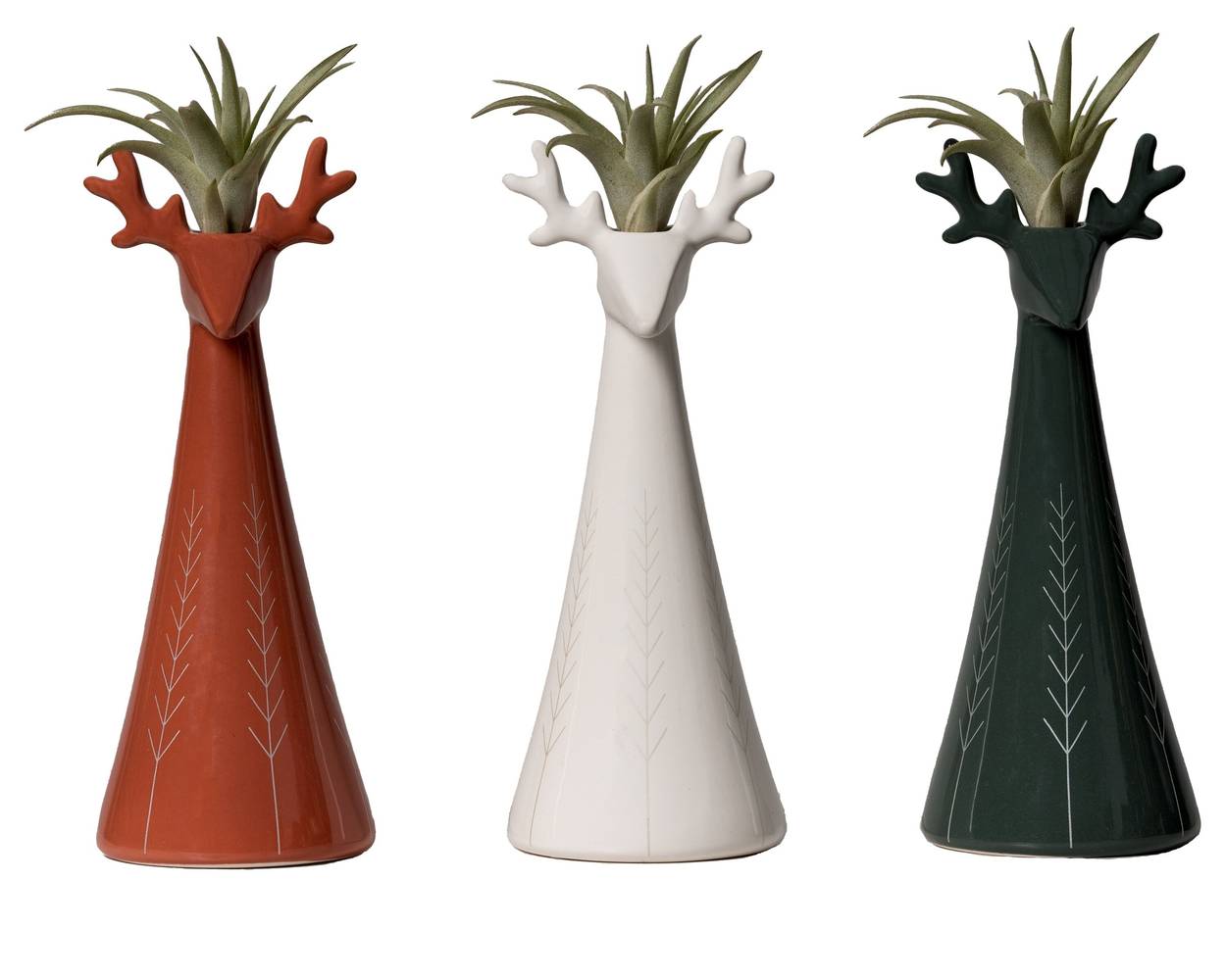 LiveTrends Reindeer House Plant in 1-Pack Pot | ASB06274