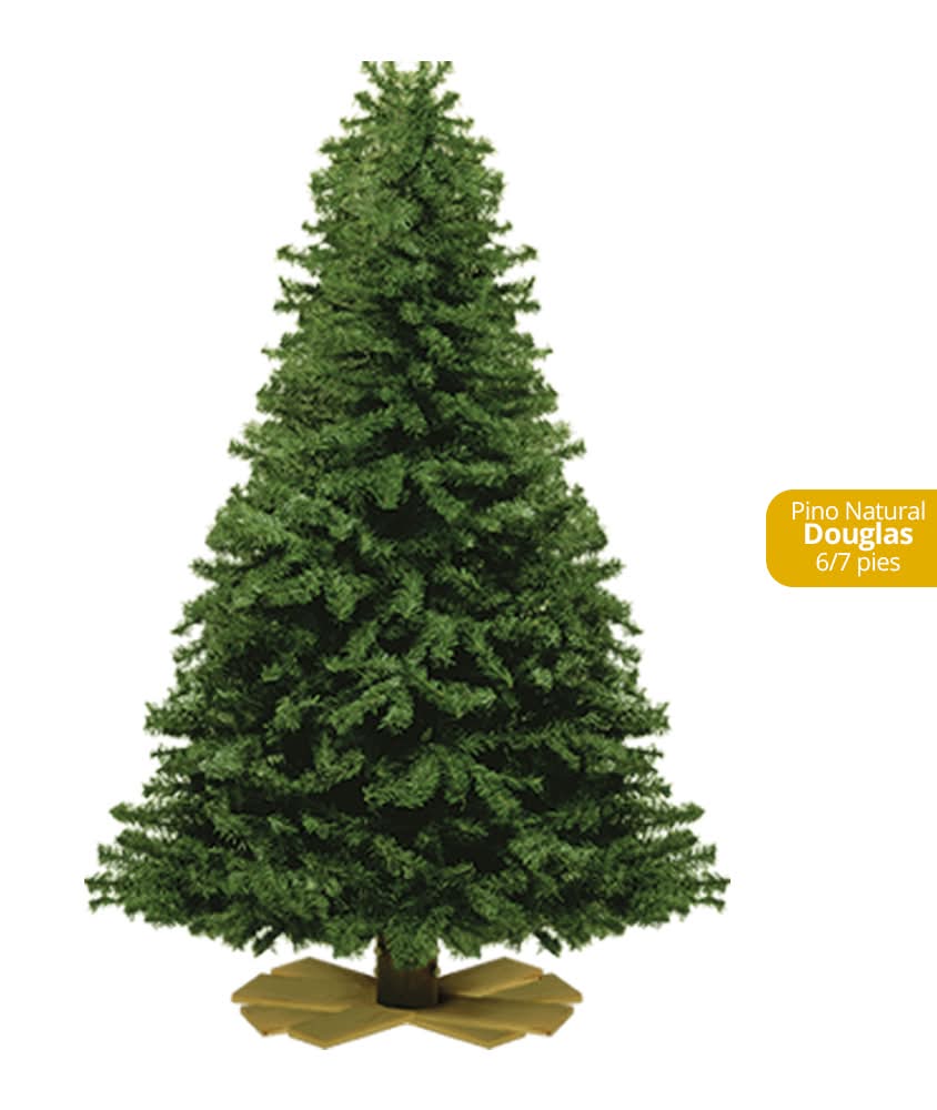 Arbol NavideÑO  Douglas Natural  6-7 Ft  1.0 - Pza