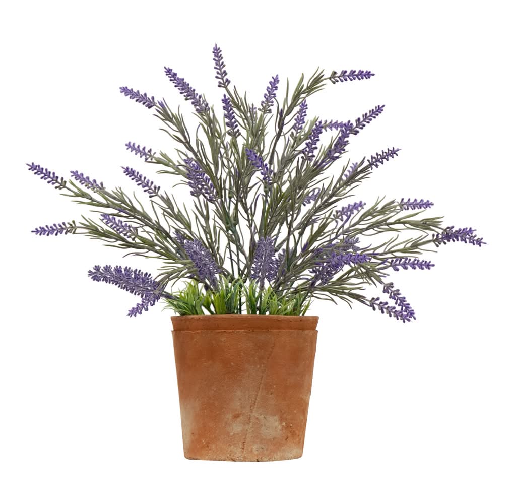 allen + roth 14-in Purple Indoor Desktop Lavender Artificial plant