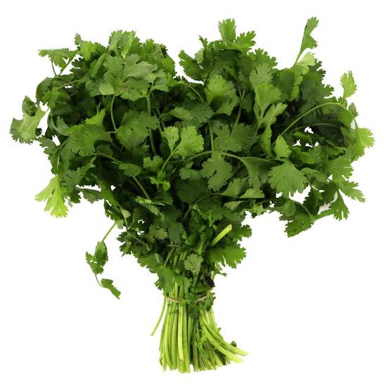 Coriander