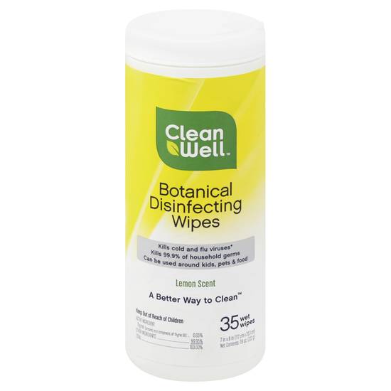 Clean Well Disinfecting Wipes