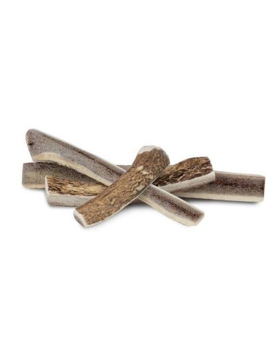 Primal Elk Antler Large