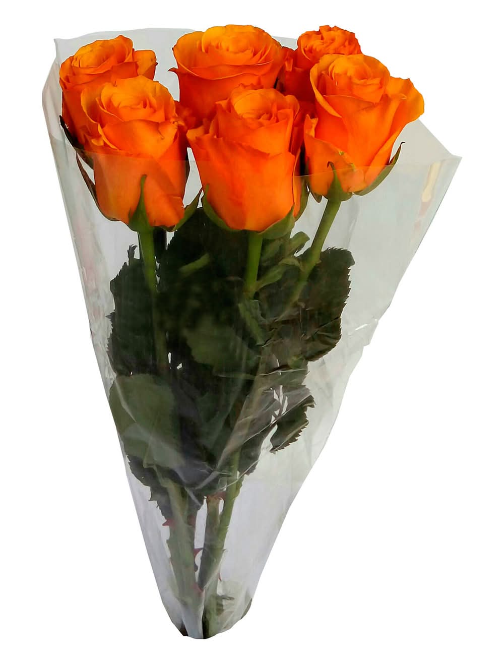 Ramo rosa (500 g)