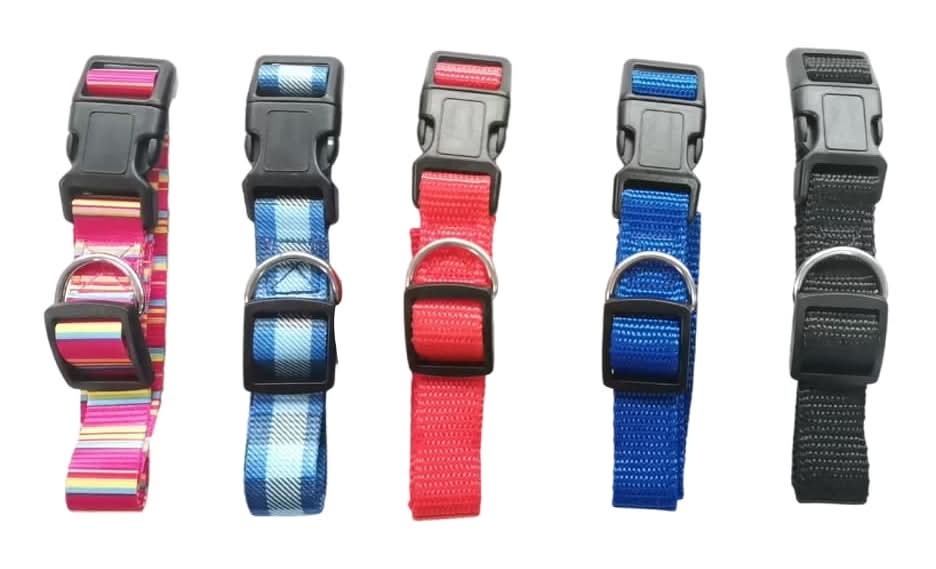 Family Pet Dog Cat Adjustable Collars, Assorted (5 ct)