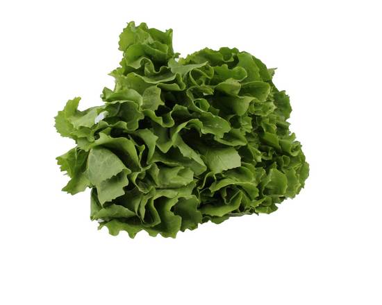Lettuce Escarole (1 ct)