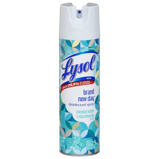 Lysol Disinfectant Spray Coconut Water & Sea Minerals Scent (19 oz)