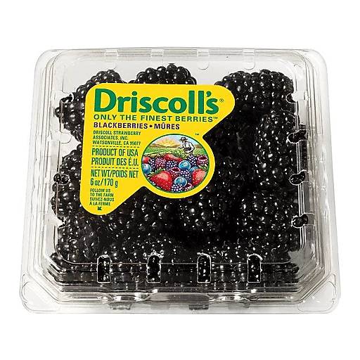 Driscoll's Blackberries