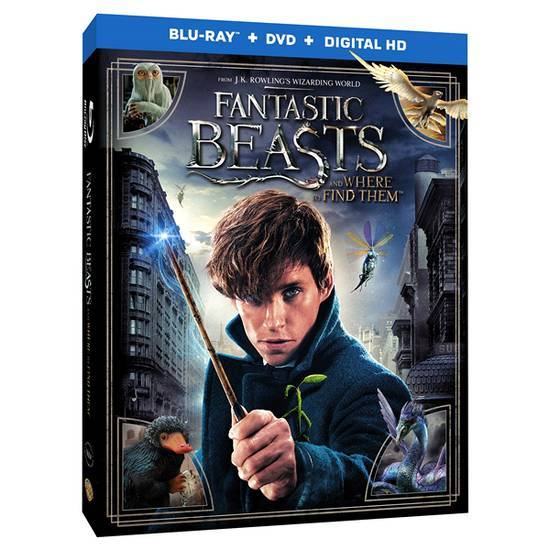 Fantastic Beasts and Where To Find Them Blu-Ray + Dvd + Digital Hd