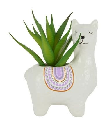 Anko Artificial Llama Succulent Pot