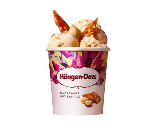 Häagen-Dazs Macadamia Nut Brittle