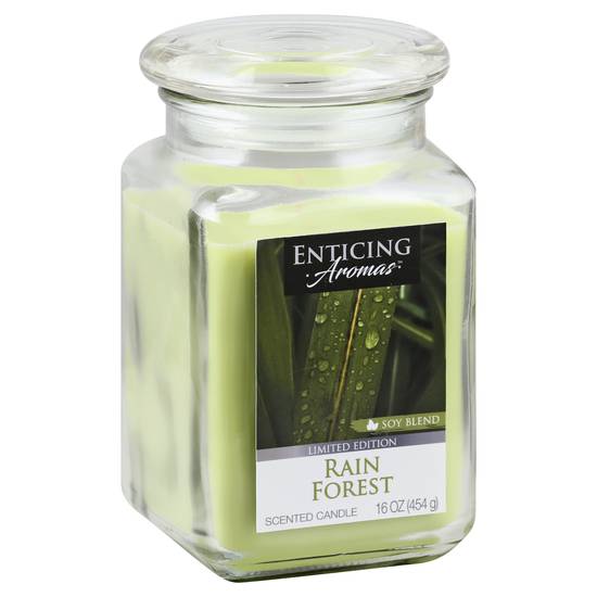 Enticing Aromas Rain Forest Soy Blend Scented Candle