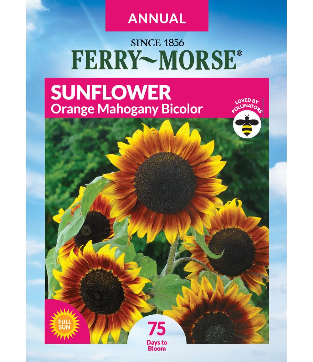 Ferry-Morse Sunflower Seeds 875 Milligram(s)