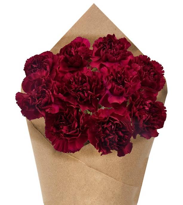 Carnation Bunch - Purple