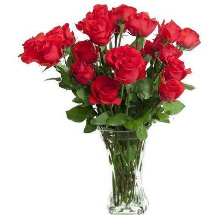 Double Red One Dozen Longstem Red Roses In a Vase With Fillers