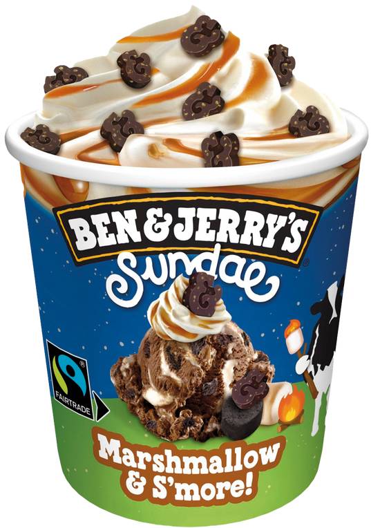 Ben&Jerry's - Marshmallow & S'more 427ml