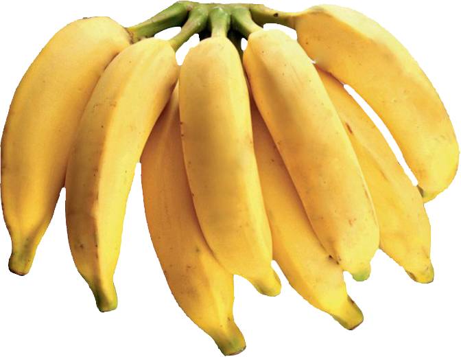 Banana pacovan (unidade: 50 g aprox)