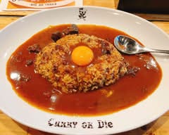 【本格欧風カレー 】亜路人(アジト)
