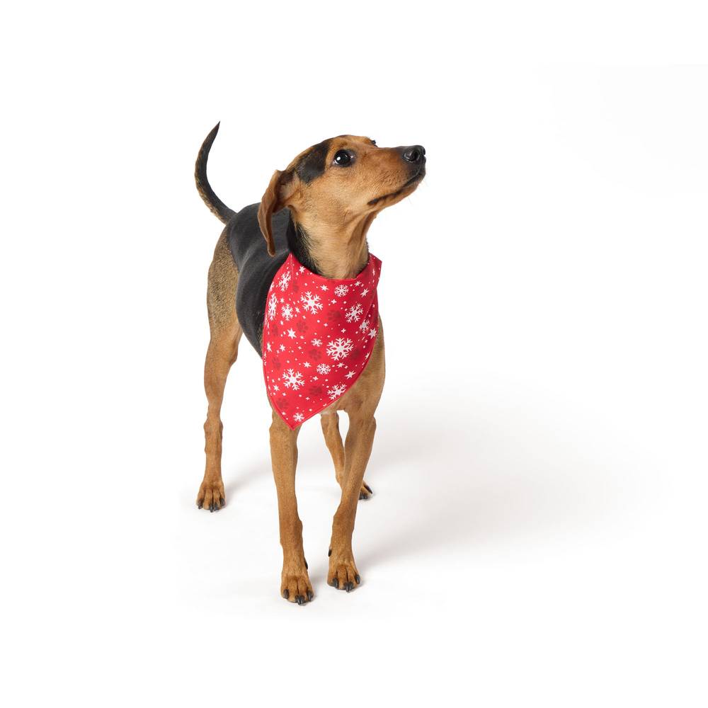 Merry & Bright Snow Plaid Dog Bandana, Medium-Large, Red