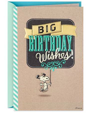 Hallmark Peanuts Birthday Greeting Card