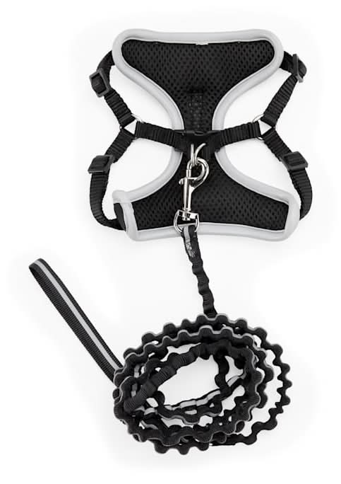 YOULY Reflective Utility Cat & Large Cat Harness & Leash Set, Black, Small/Medium