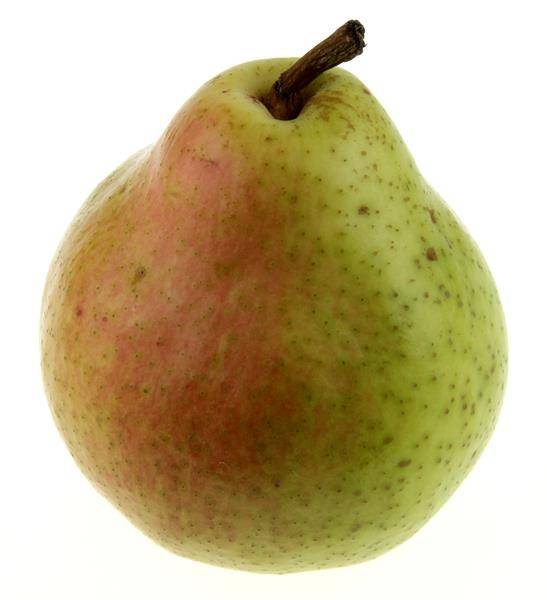 Bartlett Pears