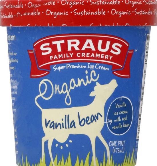 Organic Vanilla Bean Super Premium Ice Cream Straus 1 pint