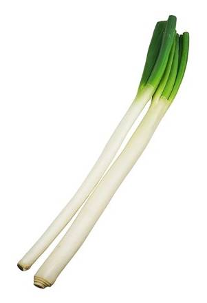 深谷ねぎ（葱王・2L）　2本