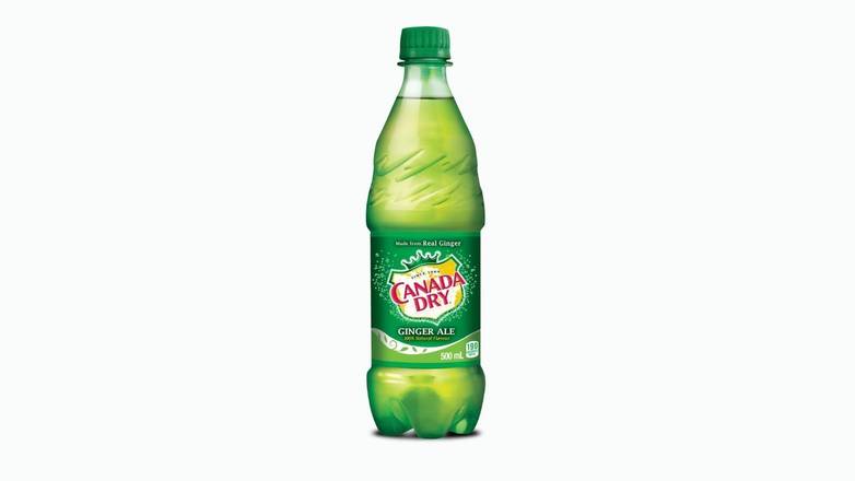 Canada Dry® Ginger Ale 500 mL Bottle