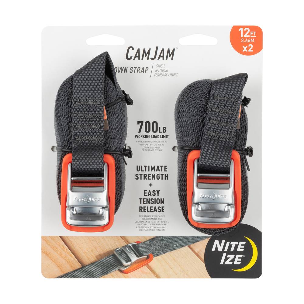 Nite Ize 1-in x 12-ft Cam Tie Down with Cam Buckle 2100-lb Break Strength (2-Pack) | CJWR12-09-2R6