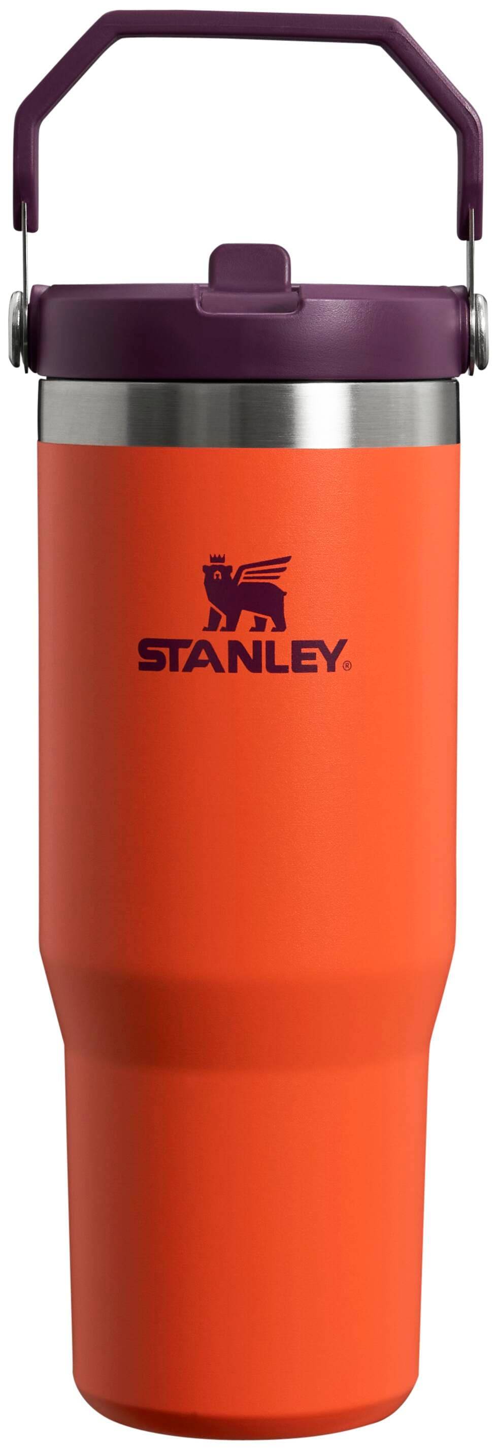 Stanley 30-fl oz Stainless Steel Insulated Water Bottle- Tgrlly Plm | 10-09993-501