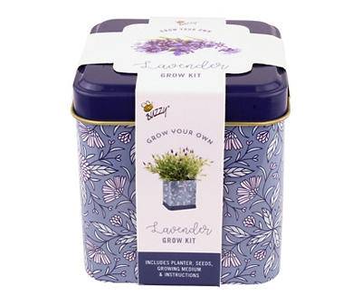 Lavender Grow Kit with Square Metal Planter