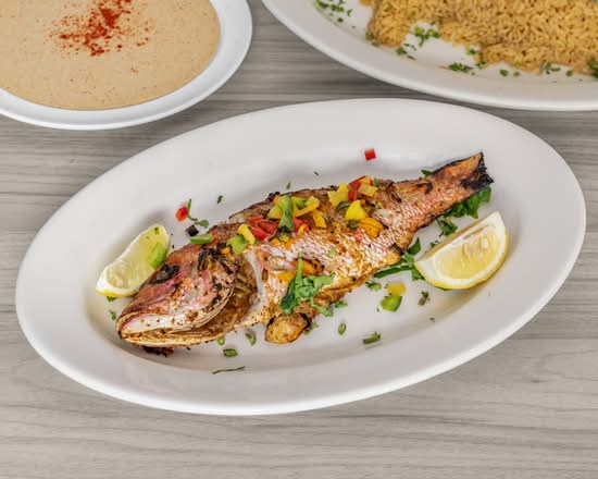 Red Snapper