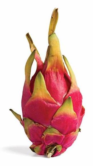 Dragon Fruit