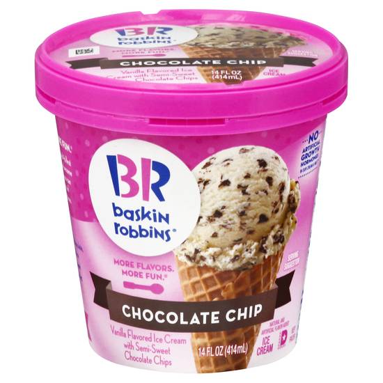 Baskin Robbins Chocolate Chip Ice Cream