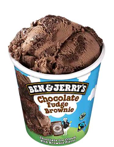 Chocolate fudge brownie